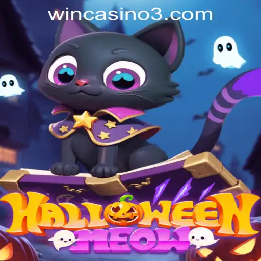 HalloweenMeow: Unleash the Spooky Fun